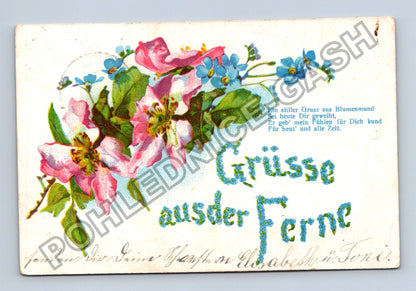 Pohlednice Rakousko květiny Grüsse aus der Ferne 1907 (M41699)