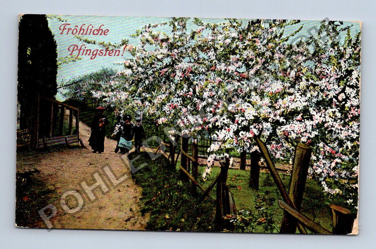 Pohlednice Rakousko Fröhliche Pfingsten kvetoucí stromy (M41716)