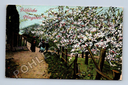 Pohlednice Rakousko Fröhliche Pfingsten kvetoucí stromy (M41716)