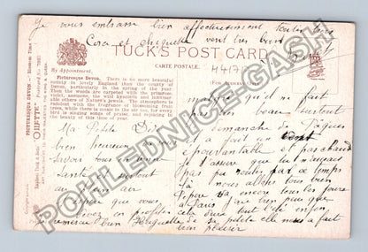 Pohlednice Velká Británie Devon květoucí stromy (M41717)