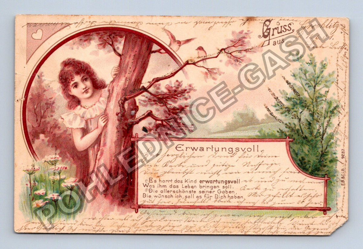 Pohlednice Německo Gruss aus dívka u stromu 1904 (M41731)