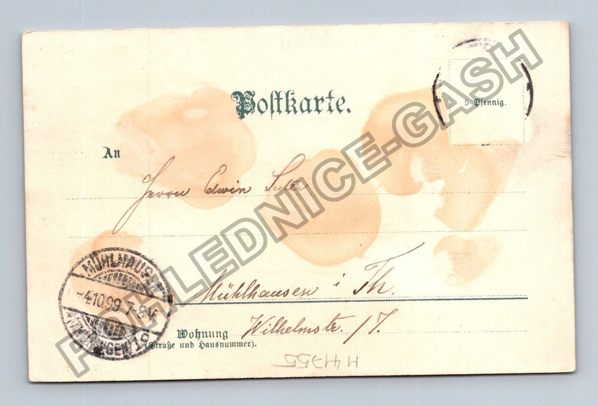 Pohlednice Německo Mühlhausen růže 1900 (M41755)