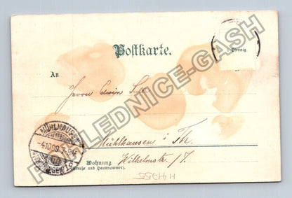 Pohlednice Německo Mühlhausen růže 1900 (M41755)