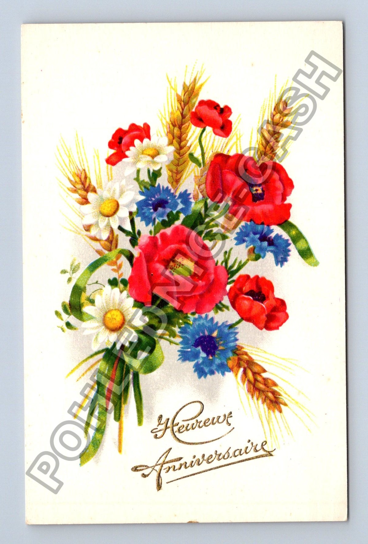 Pohlednice Francie Kytice máků chrpy kopretiny 1959 (M41759)