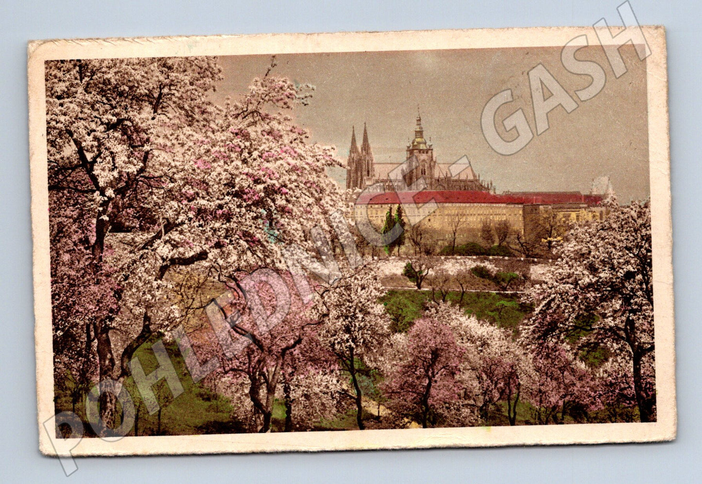 Pohlednice Pražský hrad přes květy Protektorát (M4176)