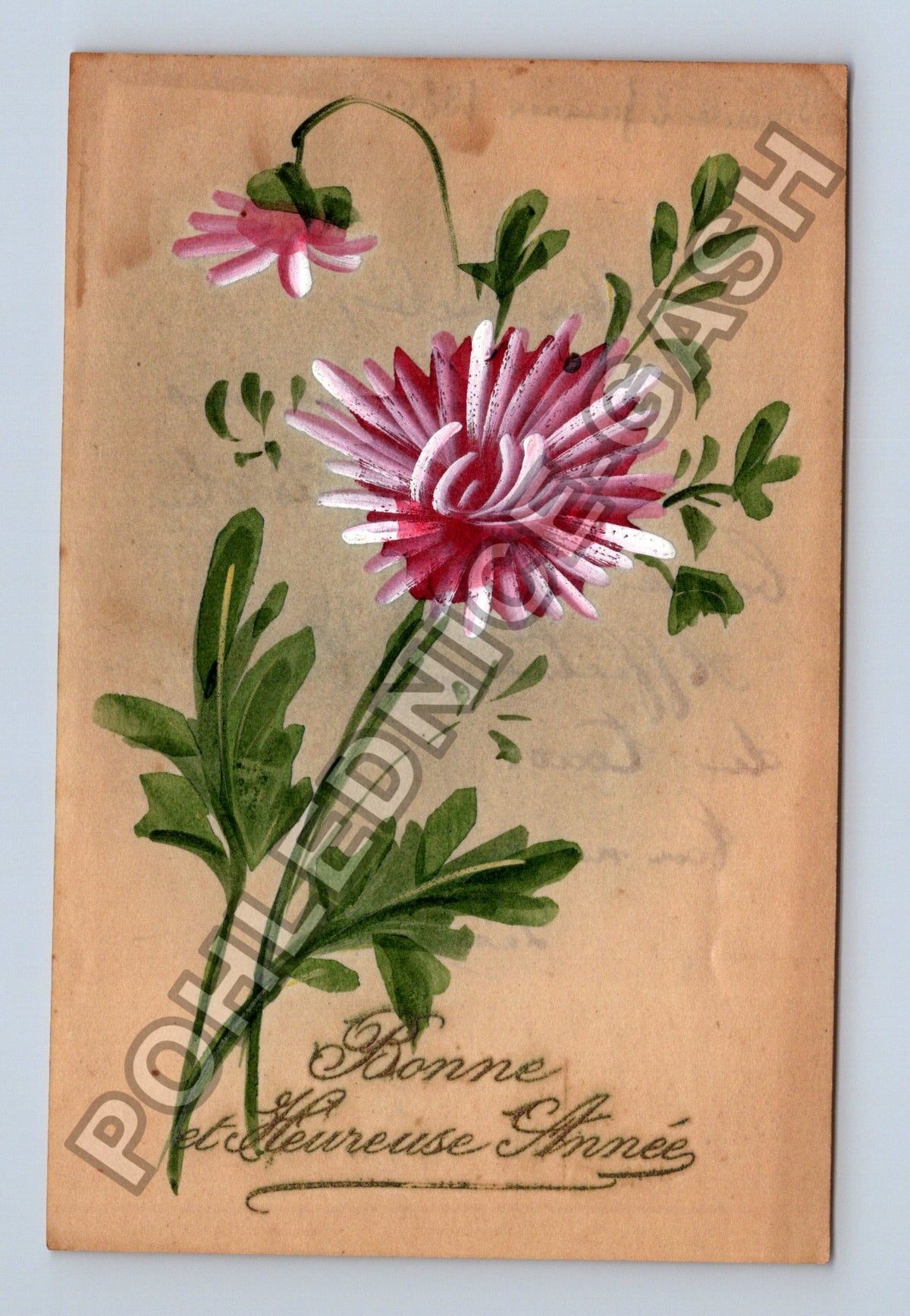 Pohlednice Francie Novoroční přání květiny 1926 (M41764)