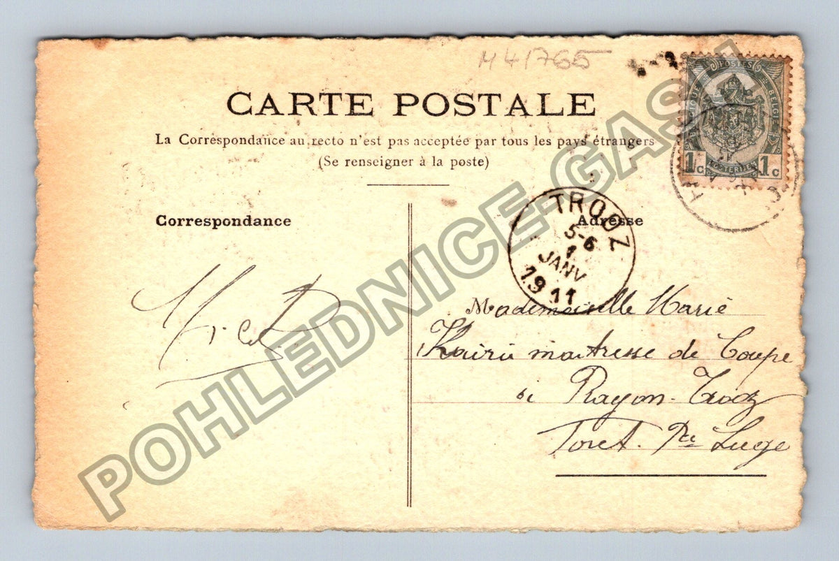 Pohlednice Francie květiny Tout mes Soeux 1911 (M41765)