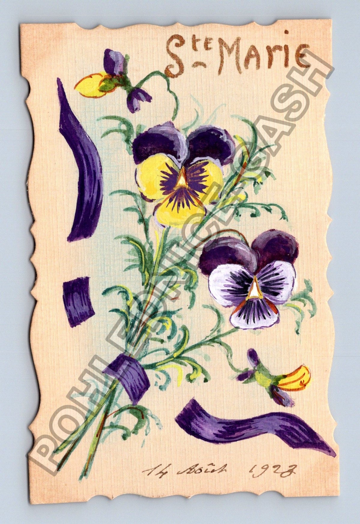 Pohlednice Francie St Marie macešky 1923 (M41766)