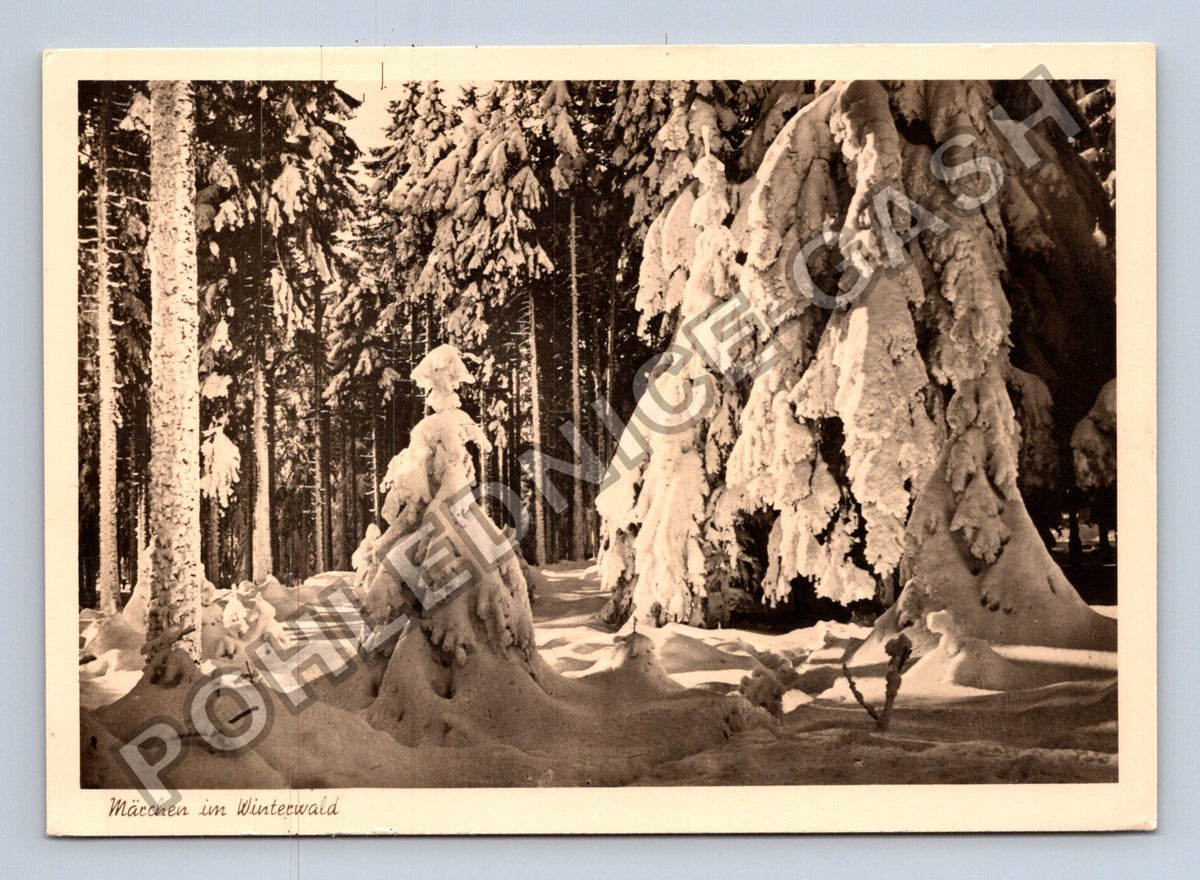 Pohlednice Märchen im Winterwald Meiningen (M41775)