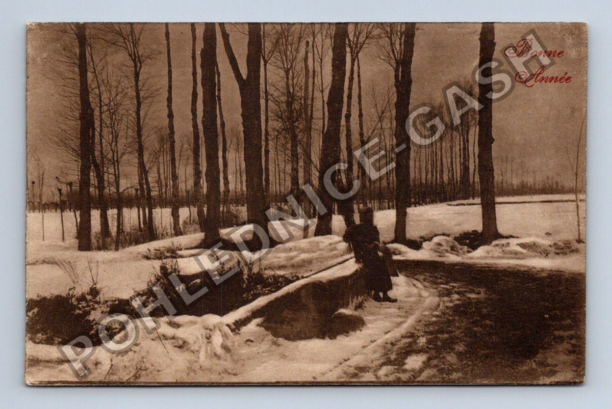 Pohlednice Francie zimní krajina Bonne Année (M41783)