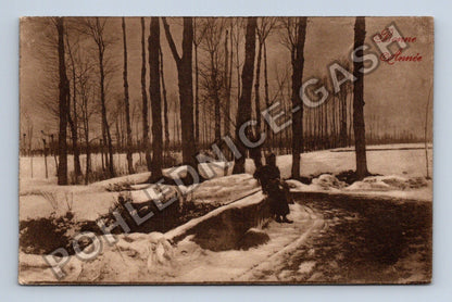 Pohlednice Francie zimní krajina Bonne Année (M41783)