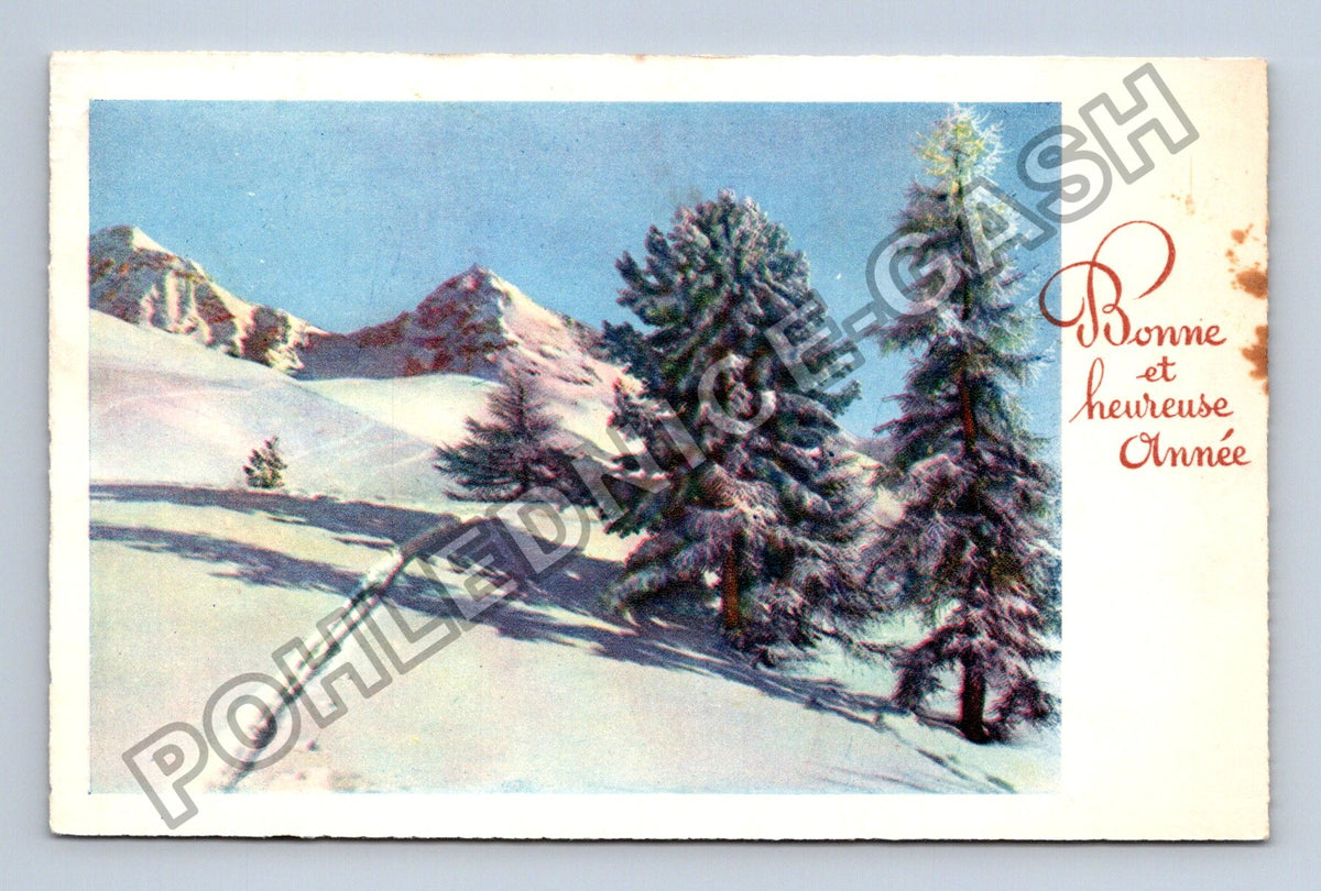 Pohlednice Francie Alpy zasněžené stromy 1950 (M41804)