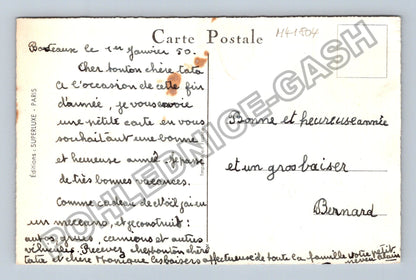Pohlednice Francie Alpy zasněžené stromy 1950 (M41804)