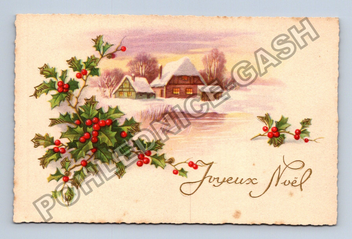 Pohlednice Francie Joyeux Noël zimní krajina cesmína (M41806)