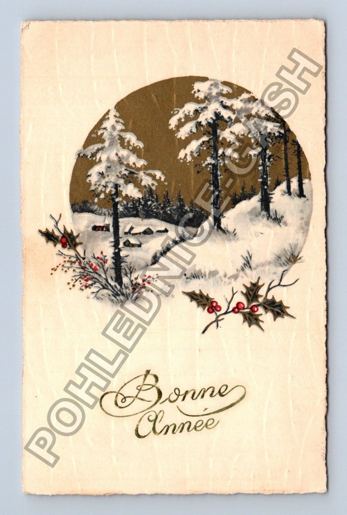 Pohlednice Francie zimní krajina Bonne Année 1925 (M41836)