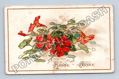 Pohlednice Francie květiny Bonne Année 1908 (M41843)