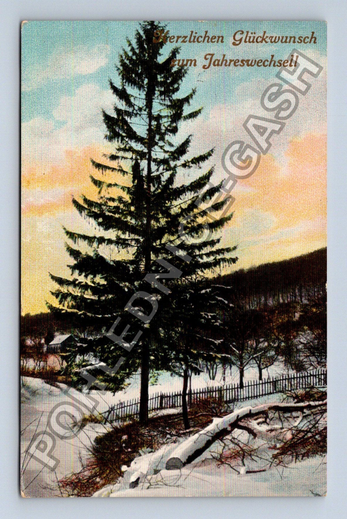 Pohlednice Rakousko Novoroční přání smrk zimní krajina 1910 (M41846)