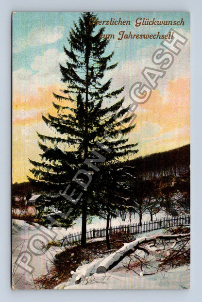 Pohlednice Rakousko Novoroční přání smrk zimní krajina 1910 (M41846)