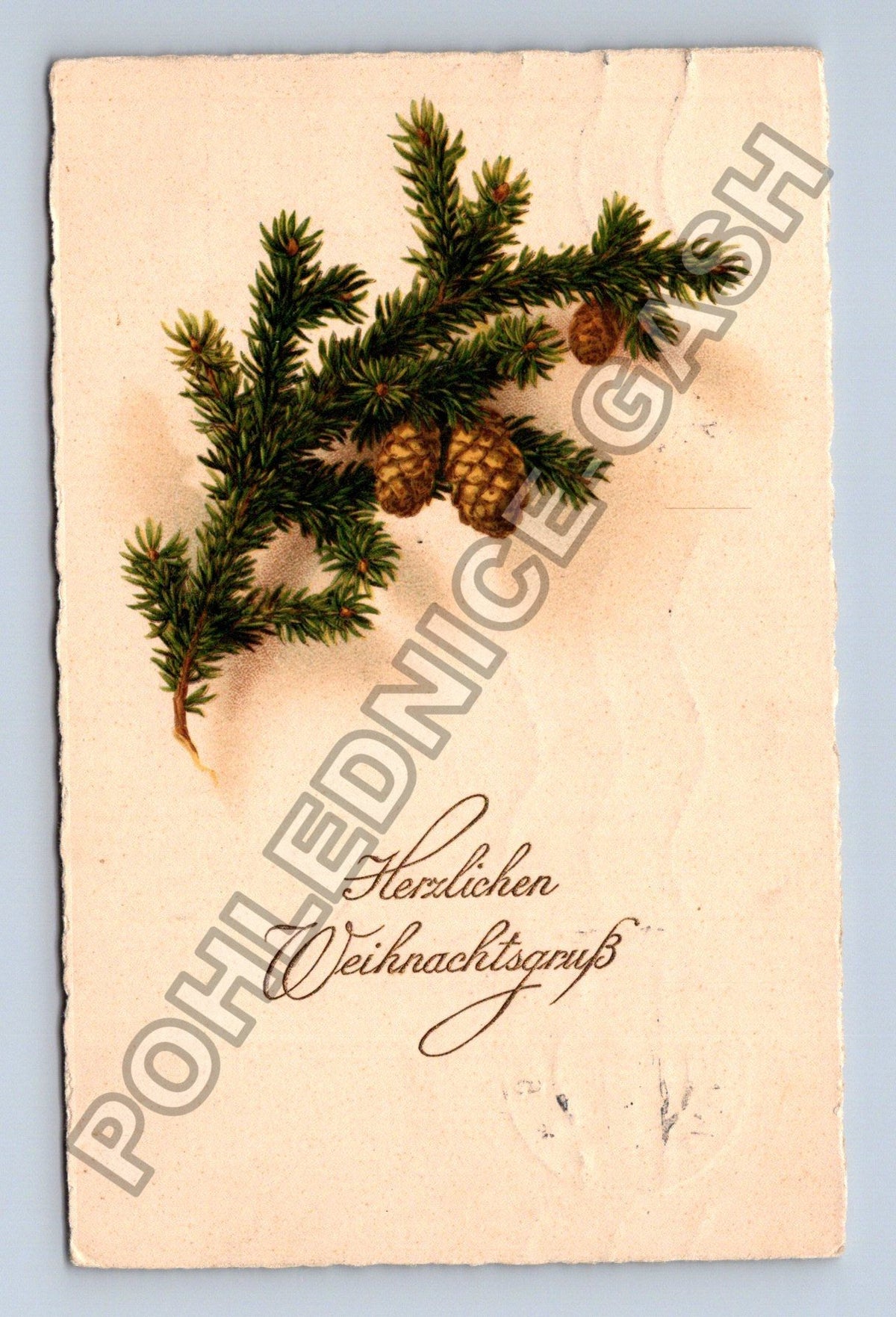 Pohlednice Rakousko Vánoční přání jehličí šišky 1913 (M41847)