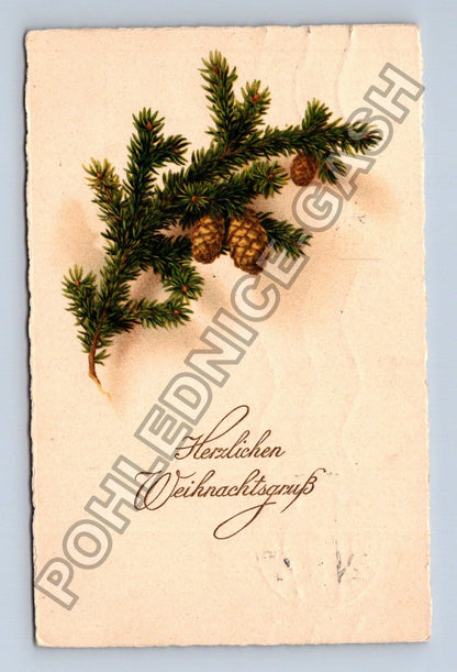 Pohlednice Rakousko Vánoční přání jehličí šišky 1913 (M41847)