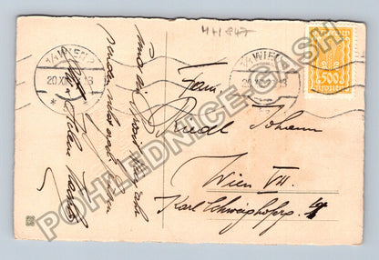 Pohlednice Rakousko Vánoční přání jehličí šišky 1913 (M41847)
