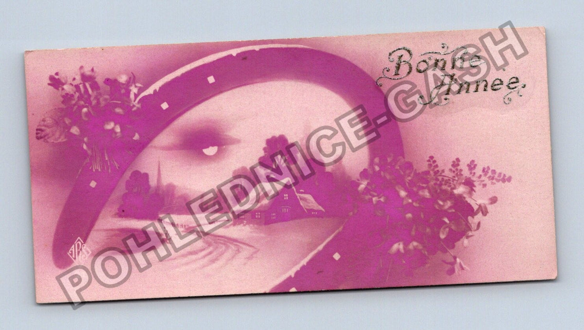 Pohlednice Francie Novoroční přání Bonne Année (M41877)