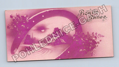 Pohlednice Francie Novoroční přání Bonne Année (M41877)