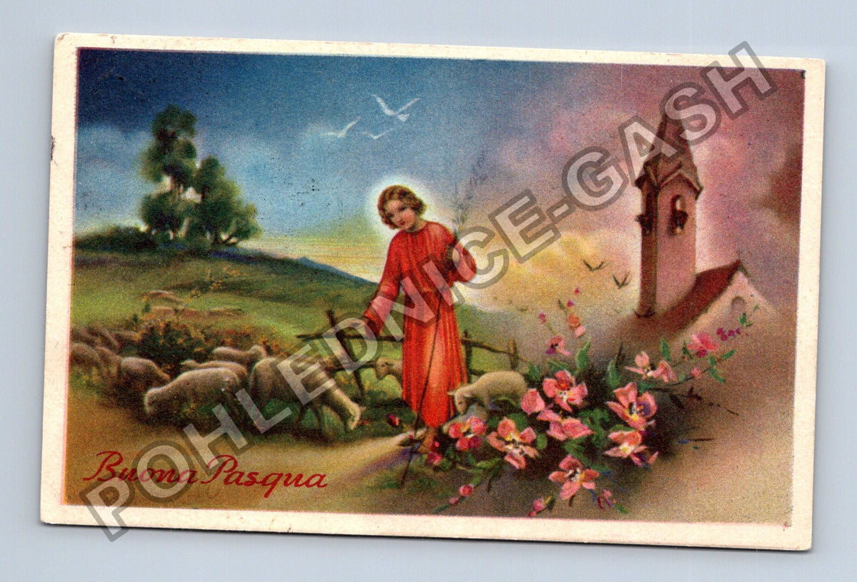 Pohlednice Itálie Velikonoce Buona Pasqua ovce kostel (M41899)