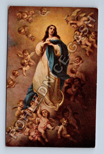Pohlednice Mater Immaculata náboženský motiv andělé (M41911)