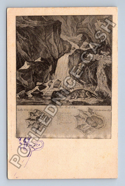 Pohlednice Německo lovecký výjev vydra 1910 (M41926)