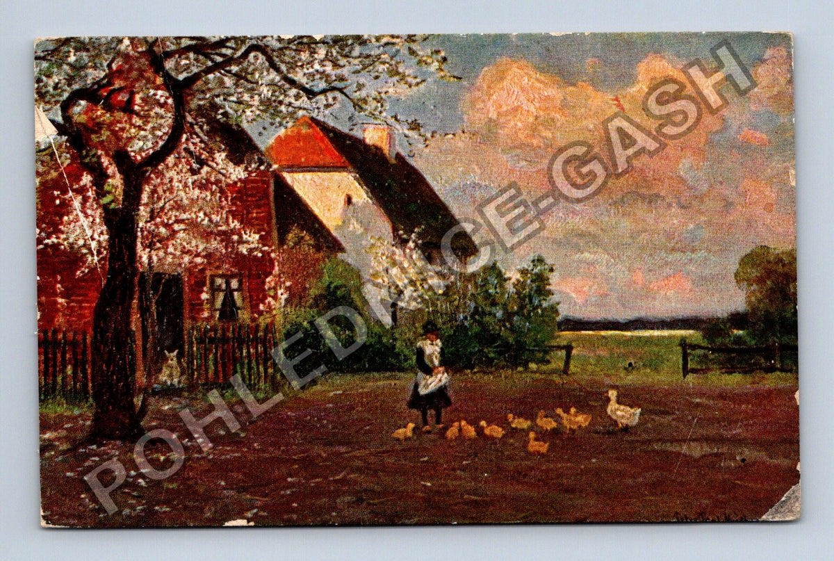 Pohlednice Německo venkovský motiv s domem a kachnami (M41938)