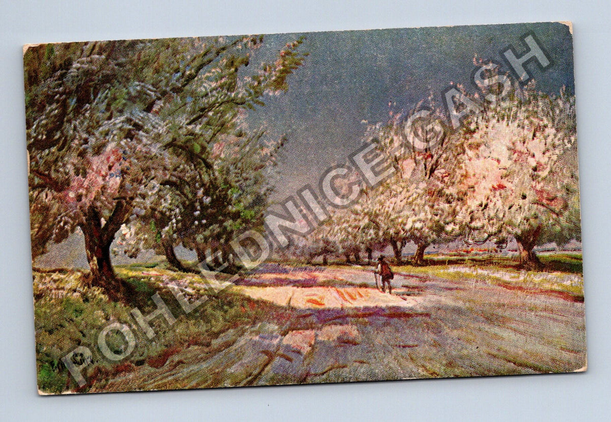 Pohlednice Kvetoucí stromy cesta postava (M41939)