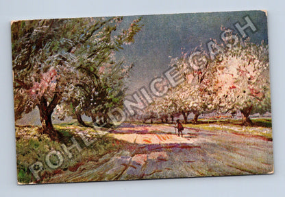 Pohlednice Kvetoucí stromy cesta postava (M41939)