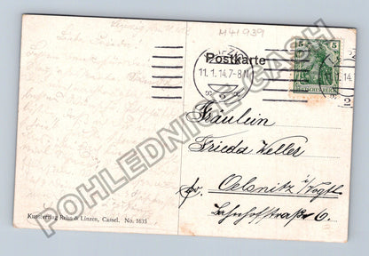 Pohlednice Kvetoucí stromy cesta postava (M41939)