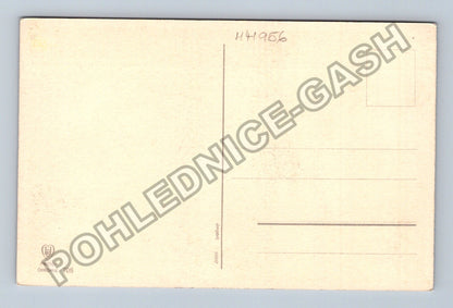 Pohlednice Potok s mostkem v parku (M41956)