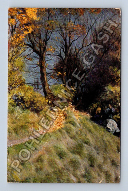 Pohlednice Německo Goslar Harz krajina (M41963)