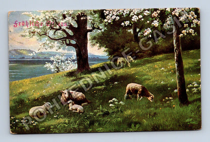 Pohlednice Rakousko Frühlingsfreuden ovce jezero 1908 (M41988)