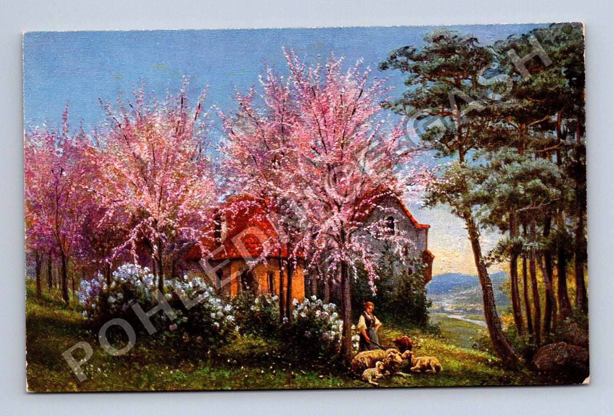 Pohlednice Idylická krajina s domem a ovcemi (M42012)