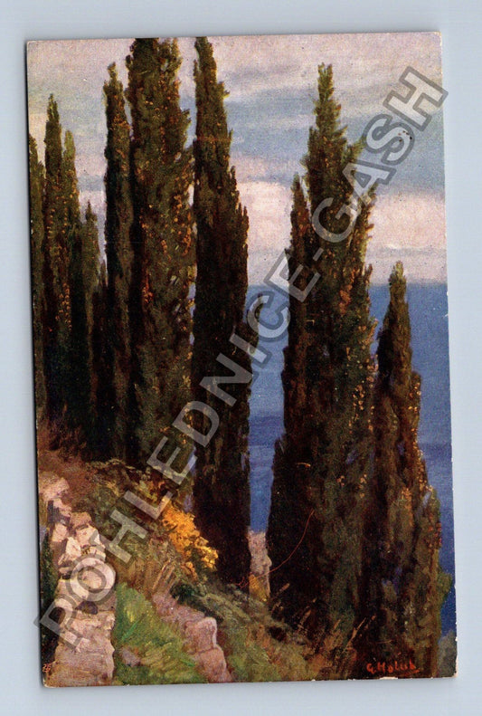 Pohlednice Chorvatsko Dubrovník cypřiše Jadran (M42025)
