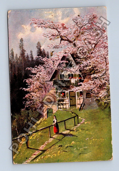 Pohlednice Rakousko Klagenfurt dům v květech žena (M42034)