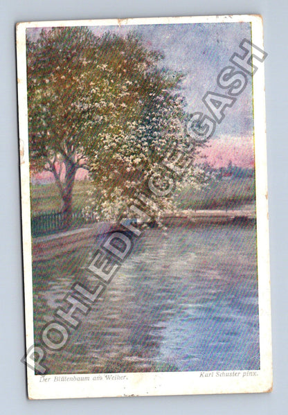 Pohlednice Rakousko Der Blütenbaum am Weiher 1913 (M42035)