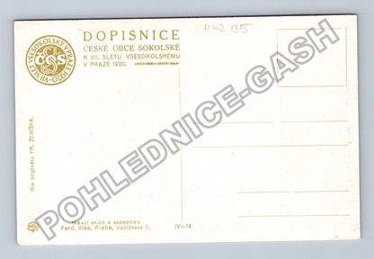 Pohlednice VII Všesokolský slet Praha 1920 (M42135)