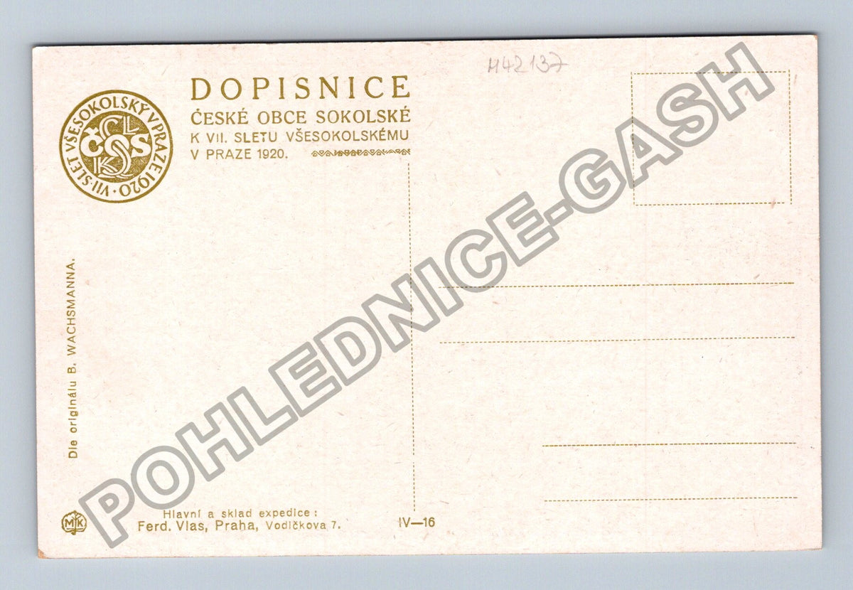 Pohlednice VII Všesokolský slet v Praze 1920 (M42137)