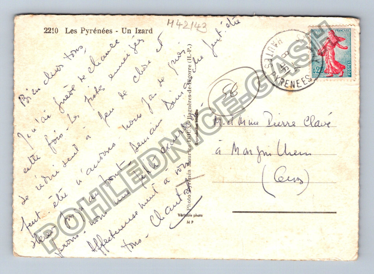 Pohlednice Francie Pyrenees kamzík Doux (M42143)