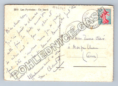 Pohlednice Francie Pyrenees kamzík Doux (M42143)