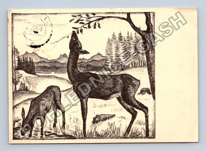 Pohlednice Německo Waldfrieden jelen laň 1935 (M42147)