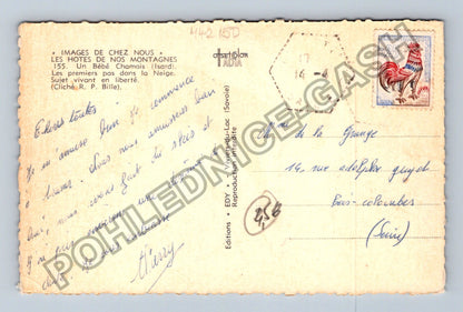 Pohlednice Francie Kamzík ve sněhu (M42150)