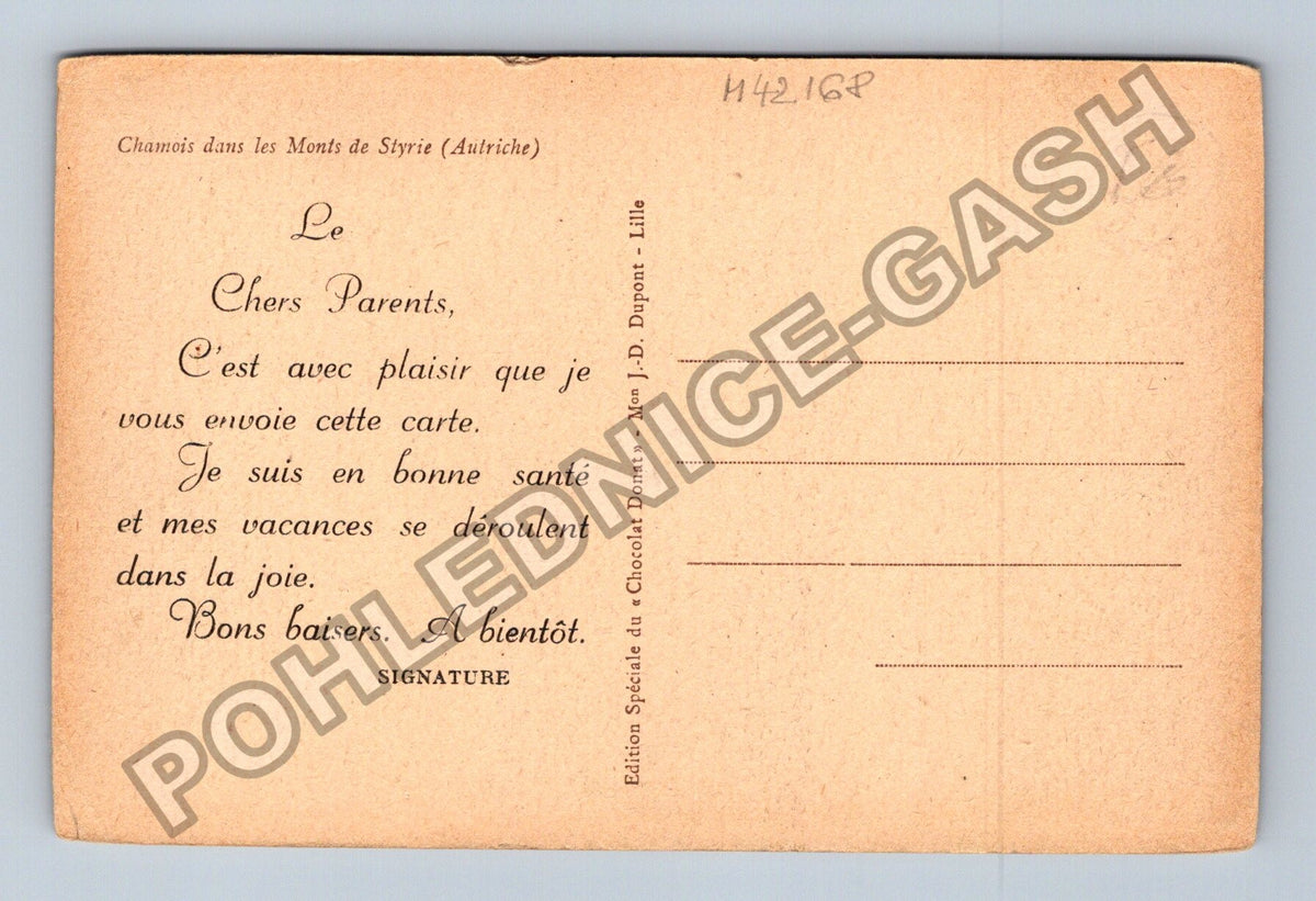 Pohlednice Francie Chamois dans les Monts de Styrie (M42168)