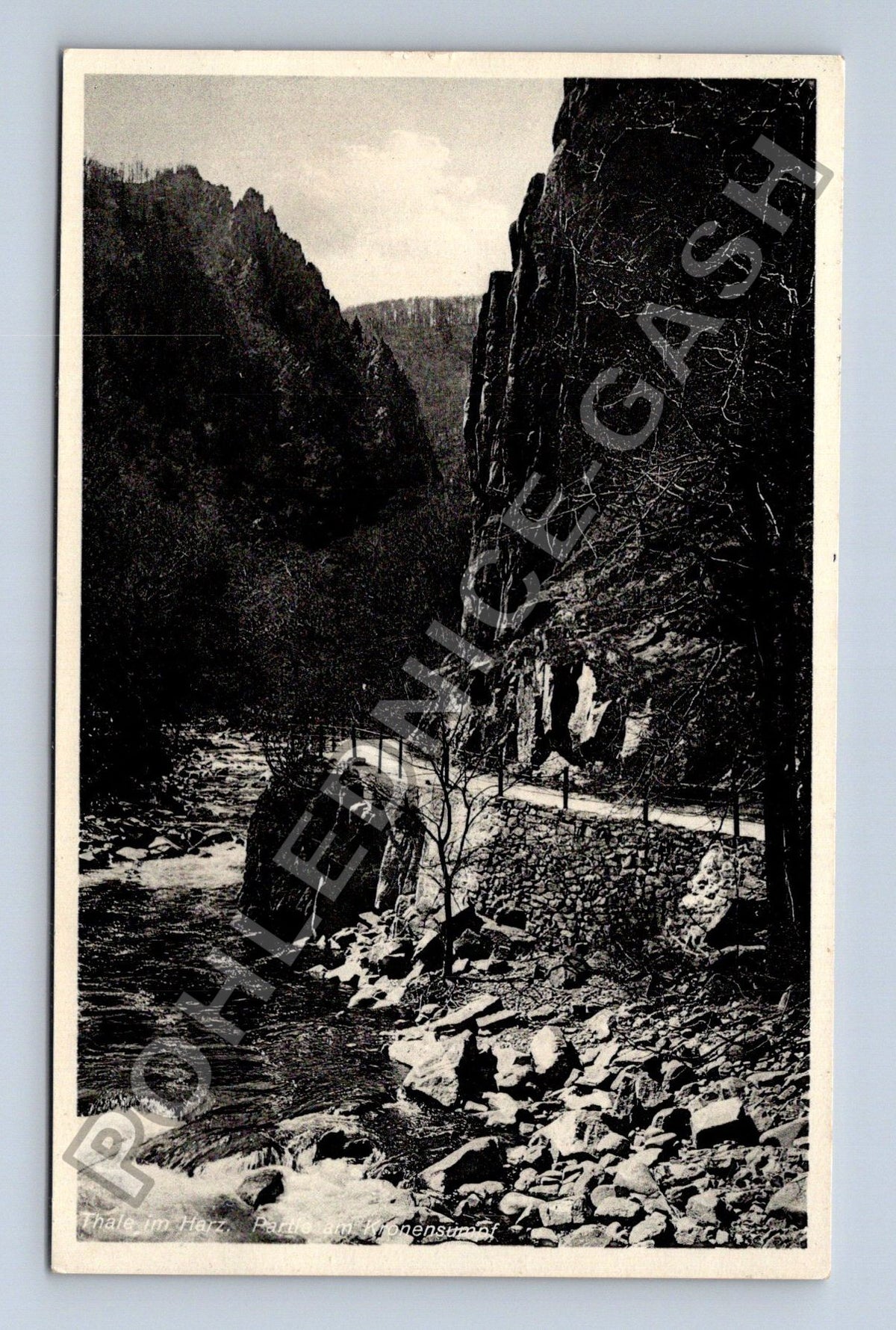 Pohlednice Německo Bode-Tal im Harz Partie am Hensensprung (M42171)