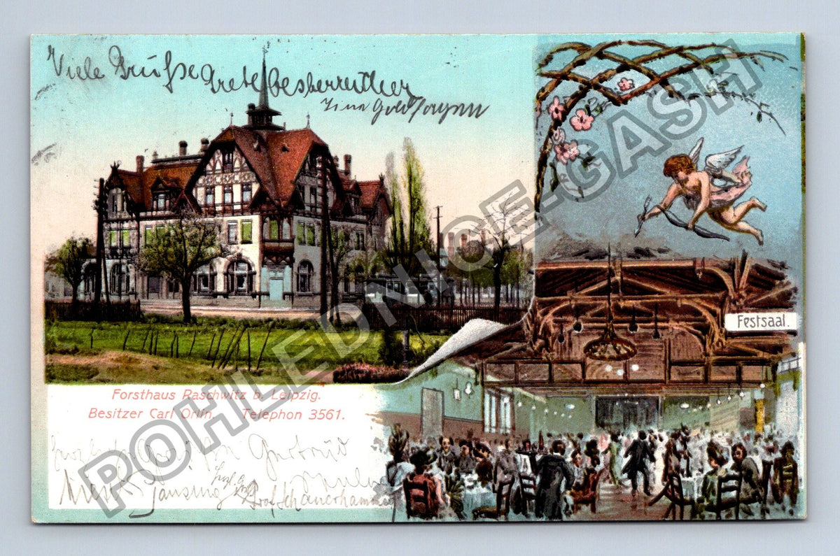 Pohlednice Německo Forsthaus Raschwitz b Leipzig (M42173)